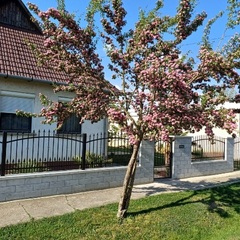 kerítésbetétek